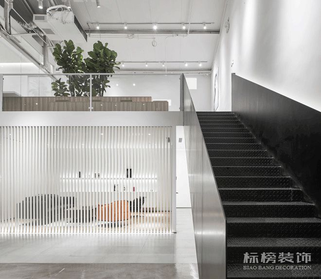 辦公室植物擺放植物有哪些，怎么擺放比較好？
